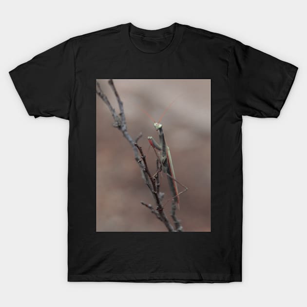 praying mantis T-Shirt by bunlinked
